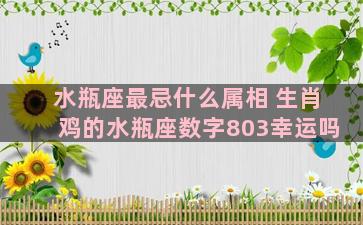 水瓶座最忌什么属相 生肖鸡的水瓶座数字803幸运吗